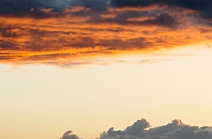 image 14.png