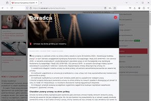 Doradca-online-3.jpg