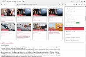 Doradca-online-2.jpg