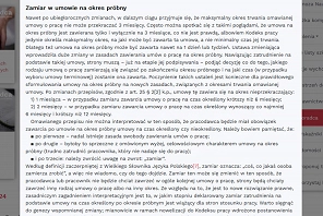 Doradca-online-4.jpg