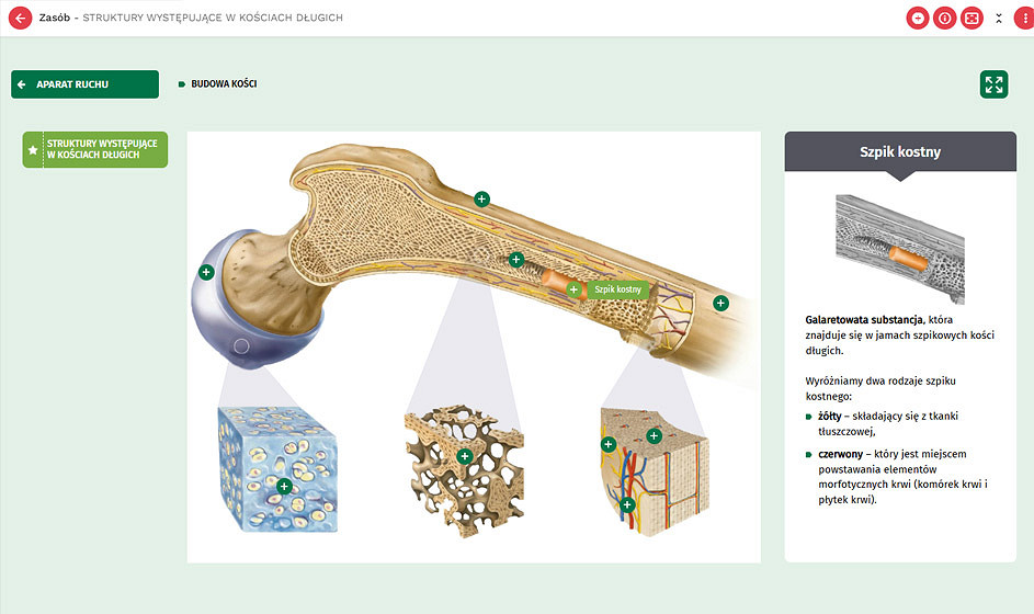 4-8-tabl-interakt.jpg [102.81 KB]