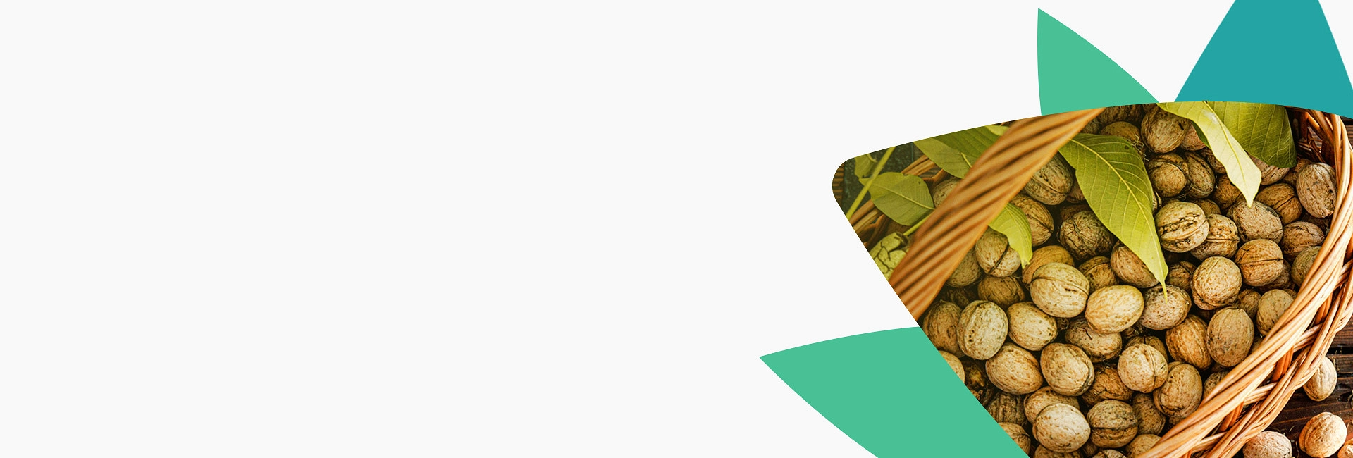 baner-dobrostan-dieta-tlo-0325.jpg