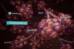 Empiriusz-wirtualny-atlas-anatomiczny-3.jpg