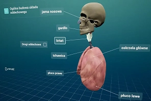 Empiriusz-wirtualny-atlas-anatomiczny-4.jpg