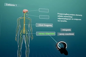 Empiriusz-wirtualny-atlas-anatomiczny-2.jpg