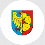 wodzislaw-slaski.png